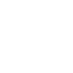 linkedin securitas